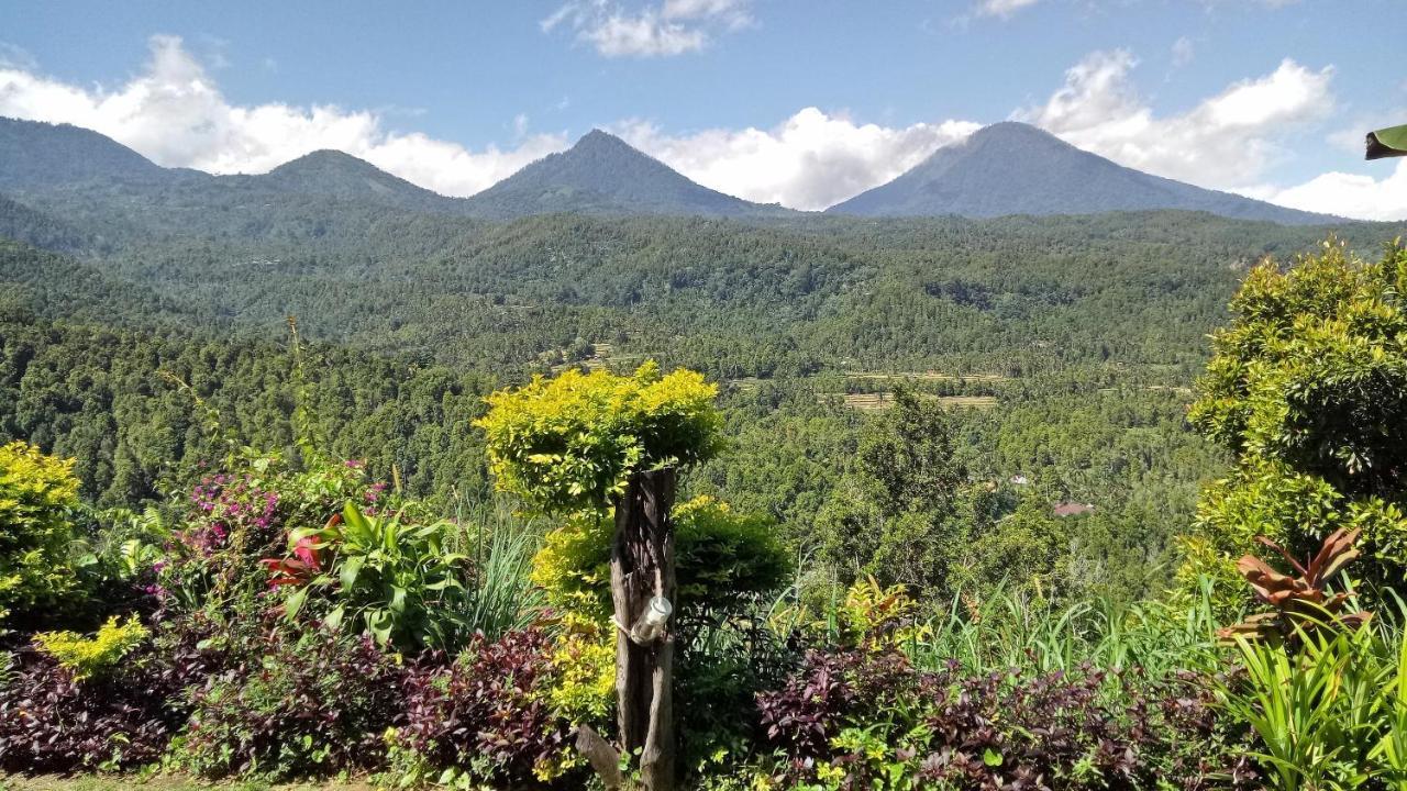 Made Oka Homestay And Warung Munduk Kültér fotó