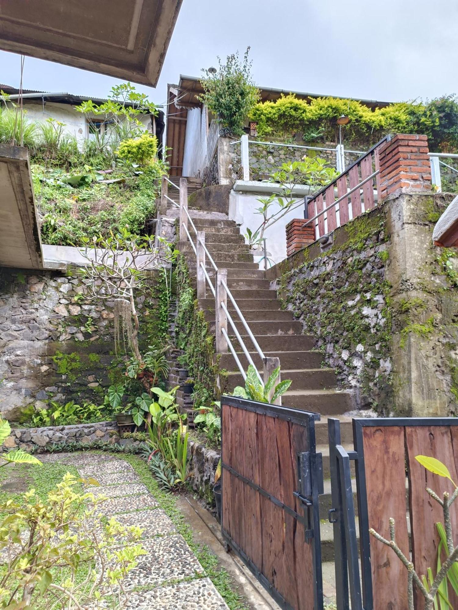 Made Oka Homestay And Warung Munduk Kültér fotó