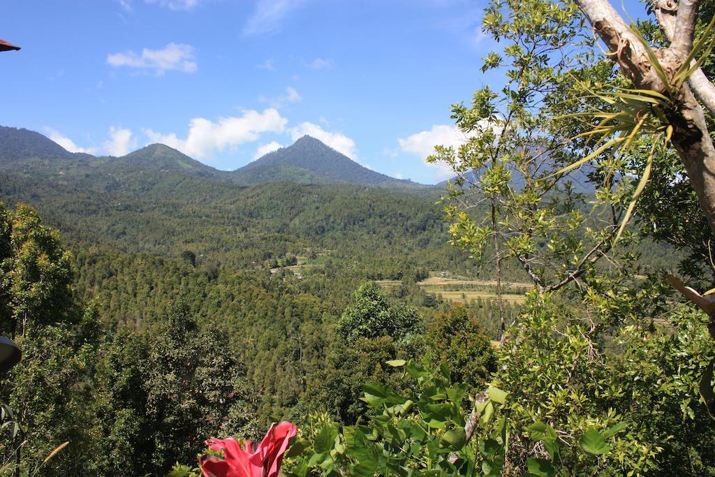 Made Oka Homestay And Warung Munduk Kültér fotó