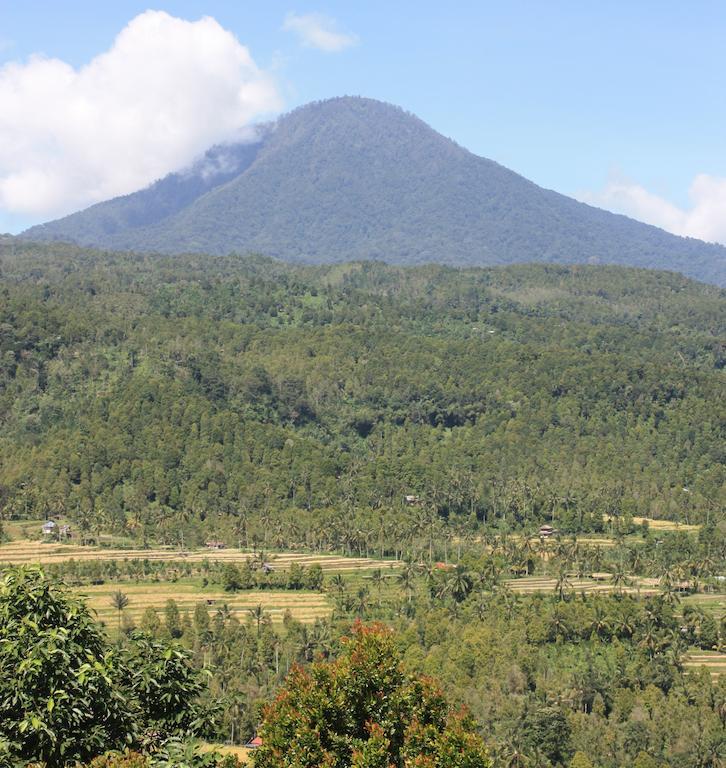 Made Oka Homestay And Warung Munduk Kültér fotó